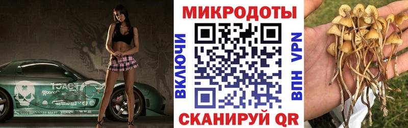 Галлюциногенные грибы Psilocybine cubensis  как найти наркотики  Никольское 